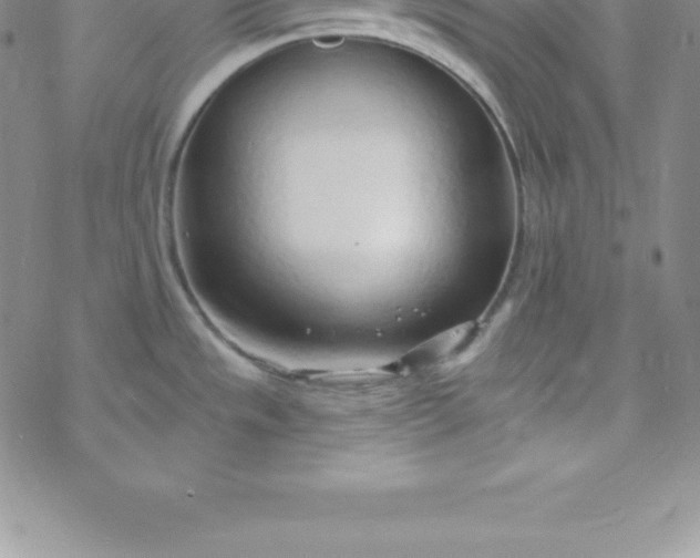 X0000069841533200606021349