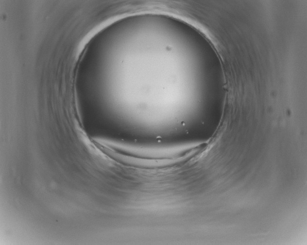 X0000069841534200606021349