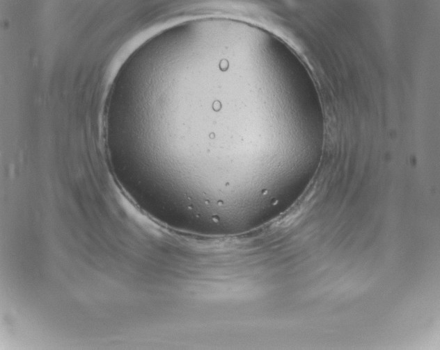 X0000069841535200606021349