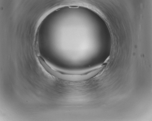 X0000069841536200606021349