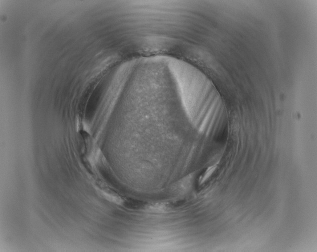 X0000069840076200606091521