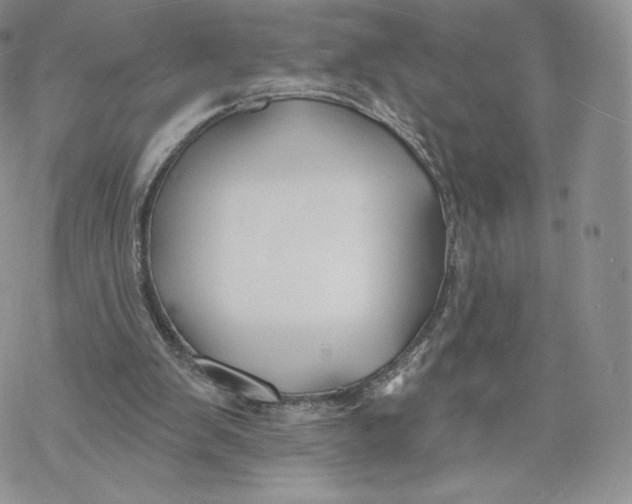 X0000069840103200606091521
