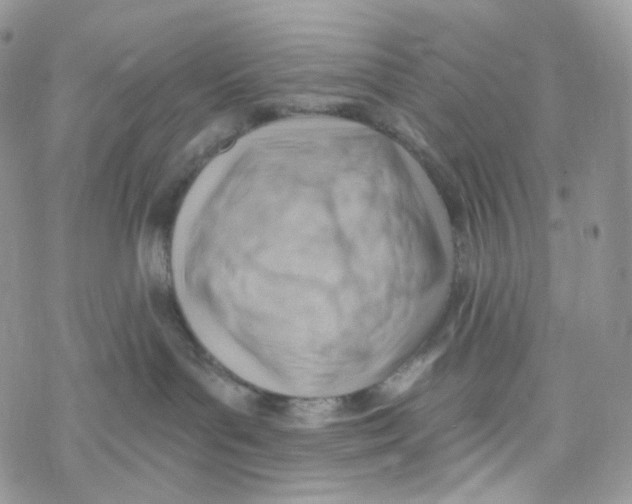 X0000069840143200606091520