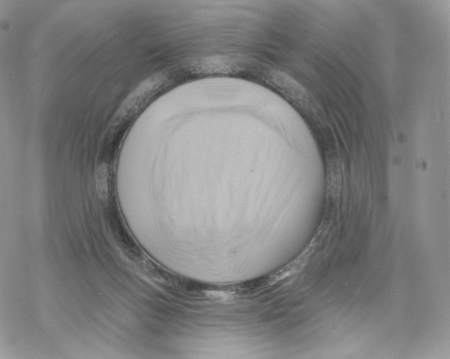 X0000069840167200606091520
