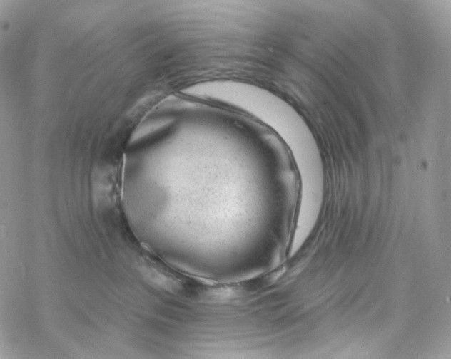 X0000069840237200606091519