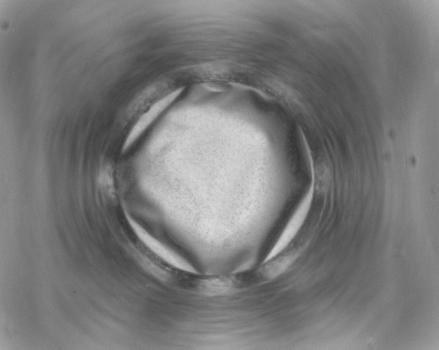 X0000069840238200606091519