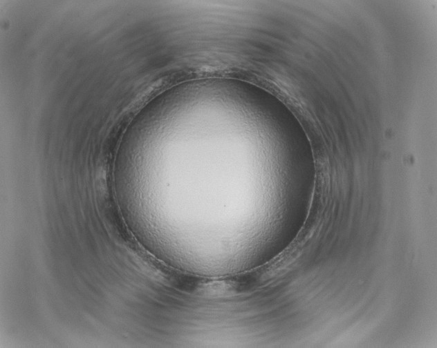 X0000069840269200606091518