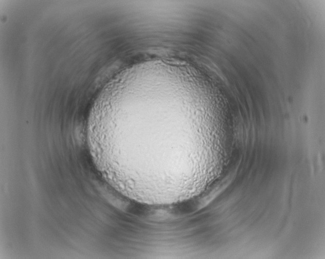 X0000069840285200606091518