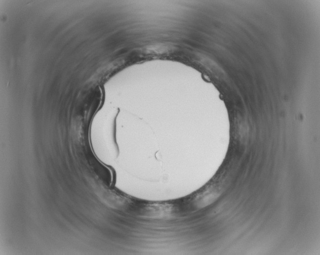 X0000069840328200606091517