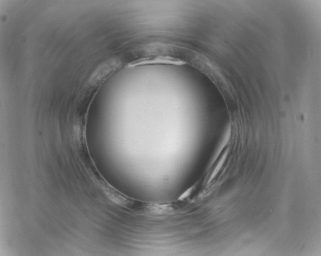X0000069840333200606091517