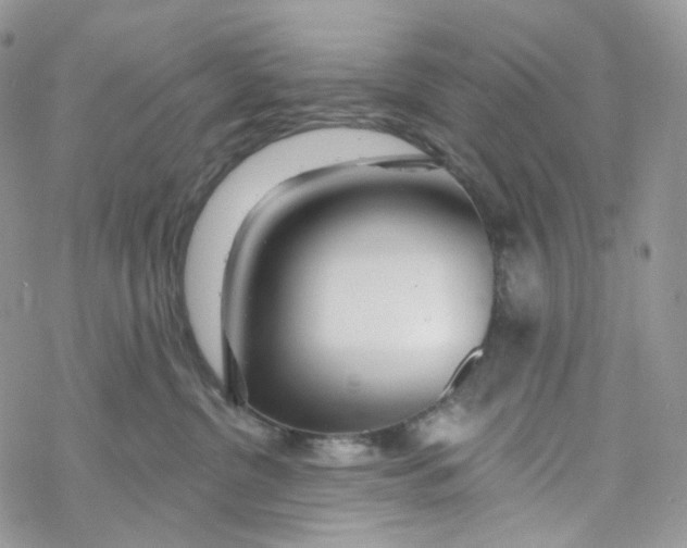 X0000069840380200606091517