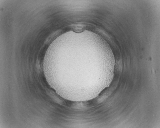 X0000069840381200606091517