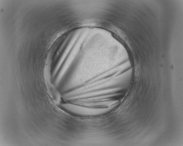 X0000069840385200606091516