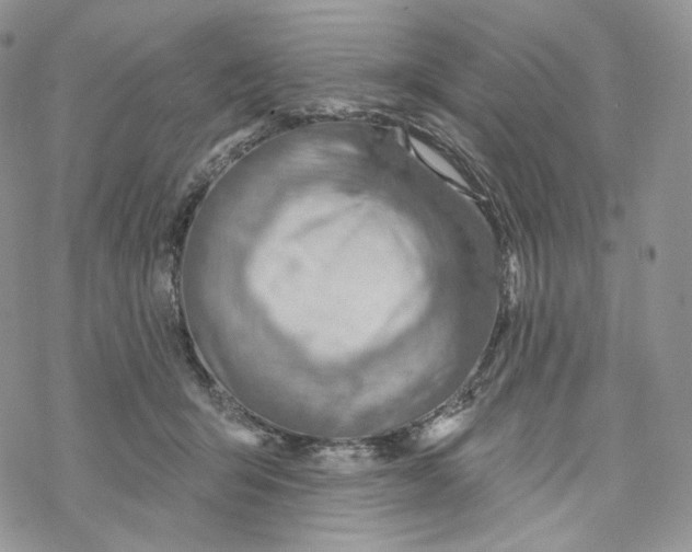 X0000069840415200606091516
