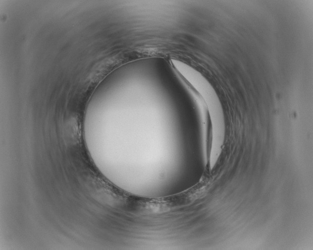 X0000069840420200606091516
