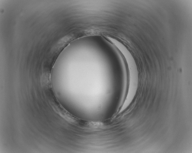 X0000069840429200606091515