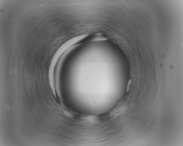 X0000069840432200606091515