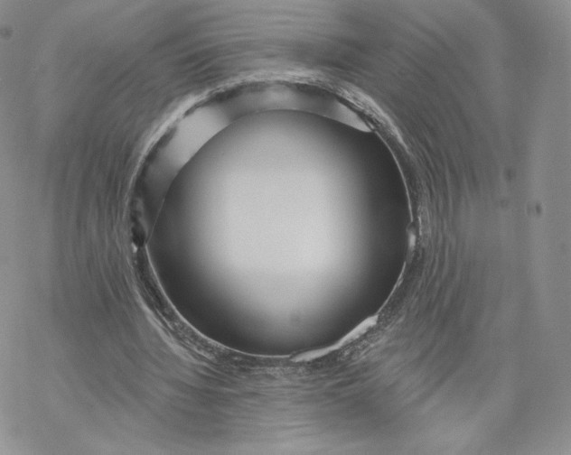 X0000069840436200606091515