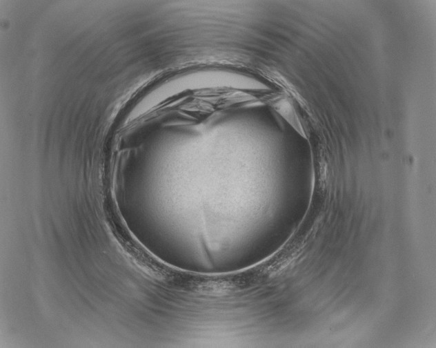 X0000069840444200606091515