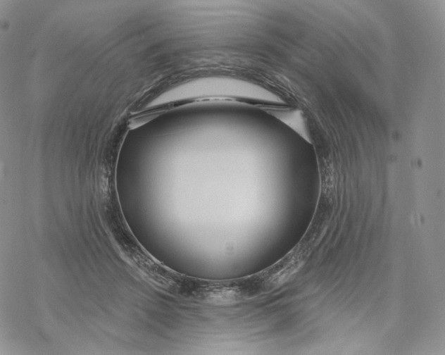 X0000069840456200606091515