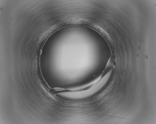 X0000069840493200606091514