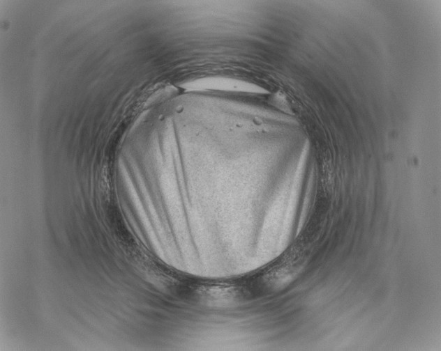 X0000069840506200606091514