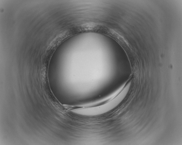 X0000069840509200606091514
