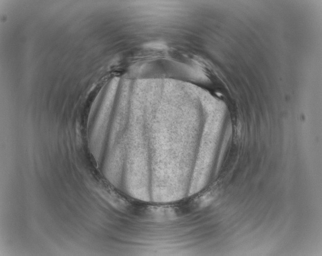 X0000069840520200606091514