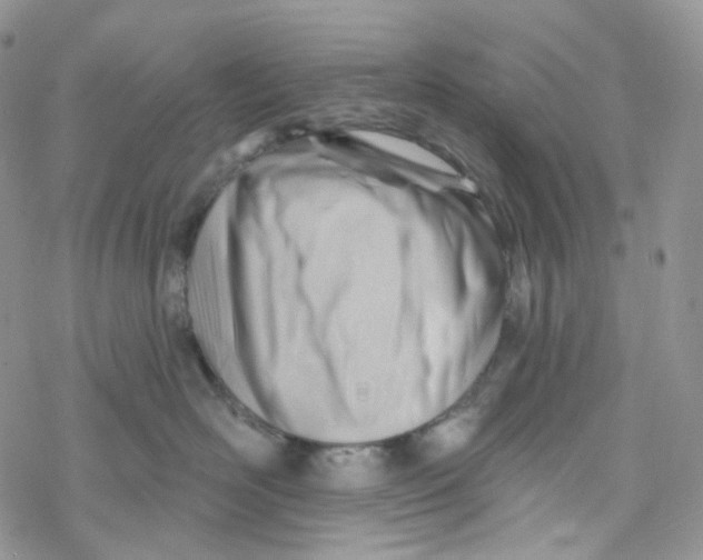 X0000069840526200606091514