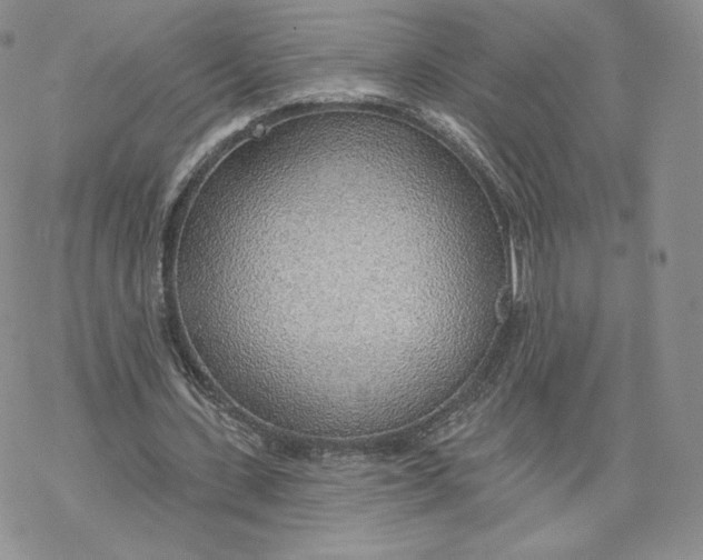 X0000069840531200606091513