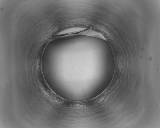 X0000069840546200606091513