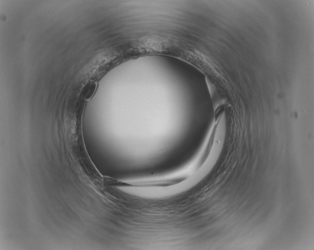 X0000069840548200606091513