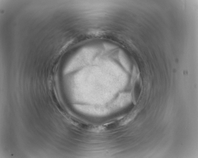 X0000069840576200606091514