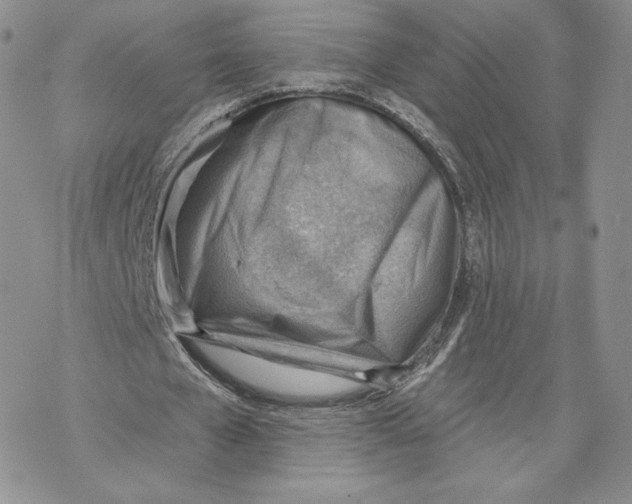 X0000069840577200606091513