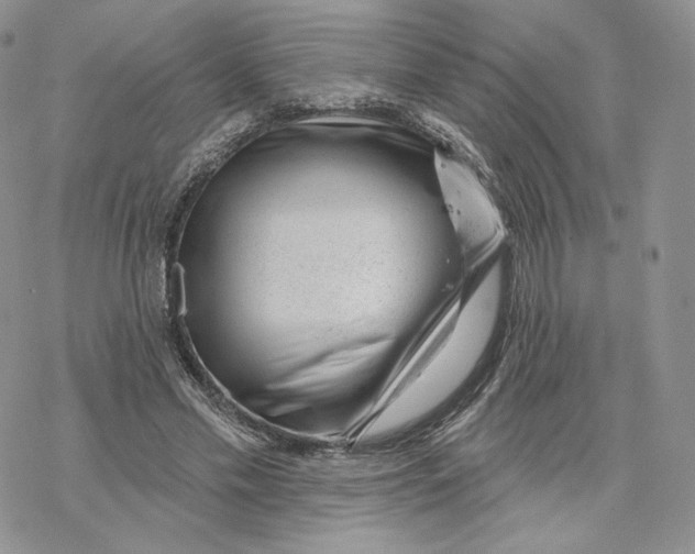 X0000069840589200606091513