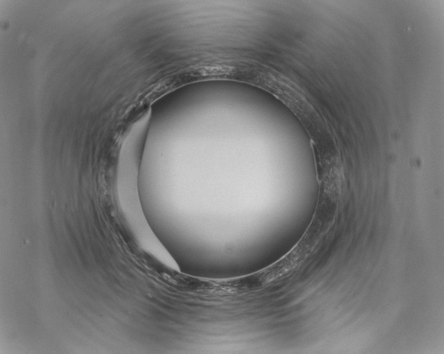 X0000069840604200606091513