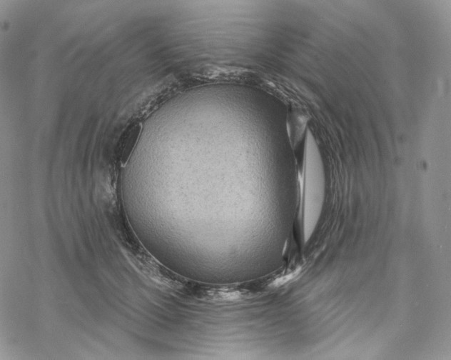 X0000069840607200606091512