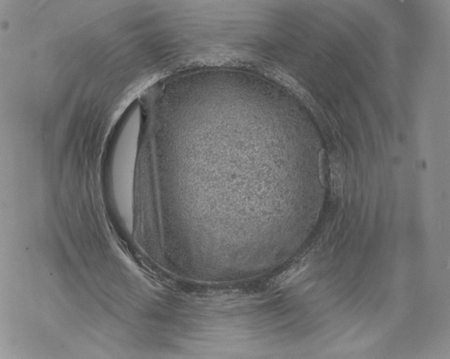 X0000069840626200606091511
