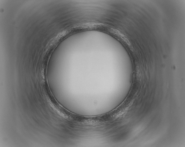 X0000069840633200606091512