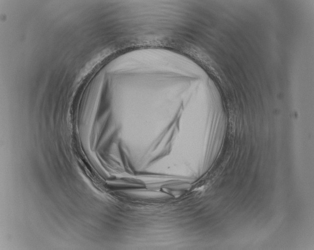 X0000069840674200606091511