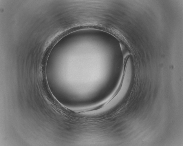 X0000069840676200606091511