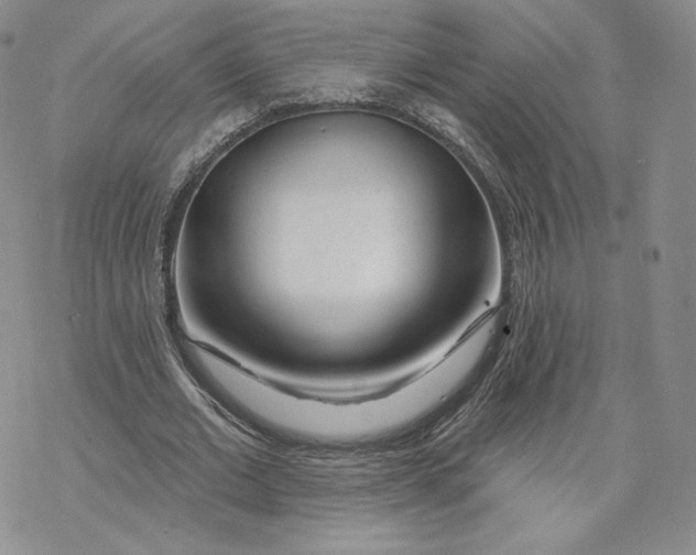 X0000069840677200606091511