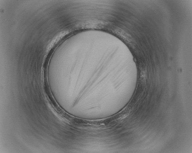 X0000069840678200606091511