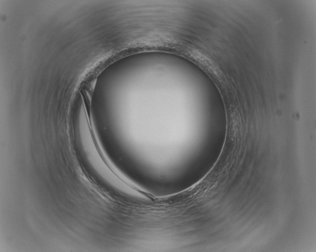 X0000069840680200606091511