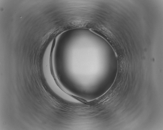 X0000069840693200606091511
