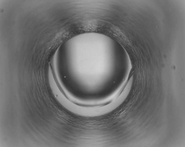 X0000069840697200606091511