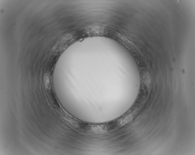 X0000069840709200606091511