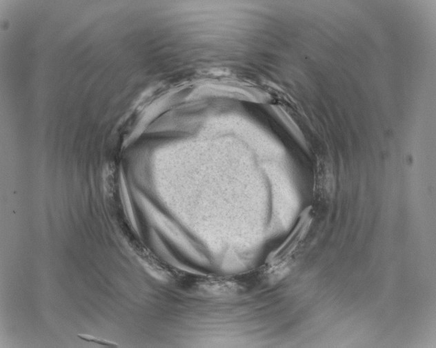 X0000069840712200606091511