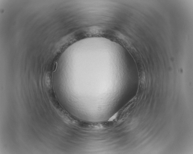 X0000069840715200606091511