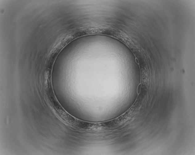 X0000069840742200606091510